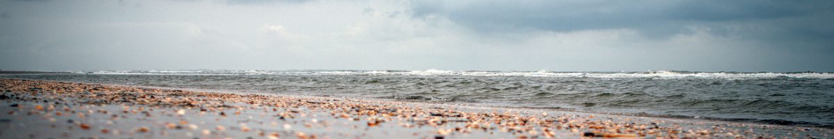 bg-img-natur-1.jpg